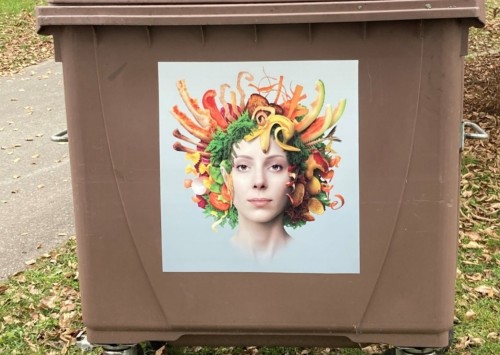 Nos restes de cuisine ont de la valeur